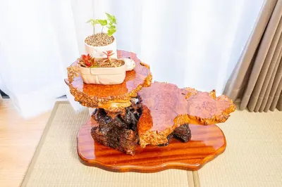 a wooden table with two potted plants on top of it at Jujo house Direct to Shinjuku in Tokyo