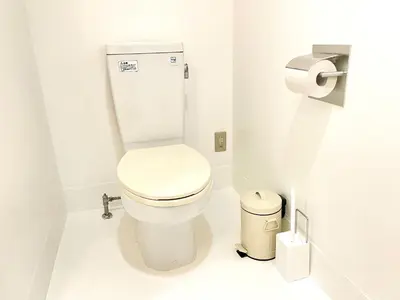 a white toilet in a bathroom with a toilet paper dispenser at 彩光堂Village KAME101&202 in Tokyo