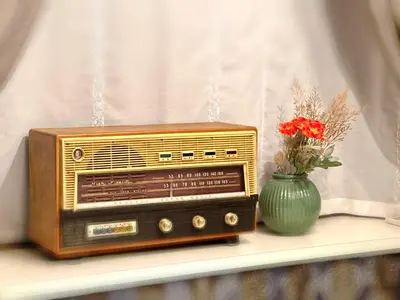 an old radio and a vase with flowers on a shelf at S-asakusa -TT0418 in Tokyo