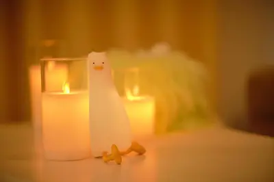 a toy penguin sitting next to a candle at EveryNet ShinjukuⅡ in Tokyo
