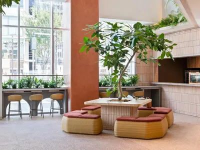 a table with a potted tree in a room with stools at Mitsui Garden Hotel Ginza Tsukiji in Tokyo