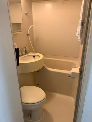 a small bathroom with a toilet and a sink at \u8bda\u4fe1\u4e1c\u65b0\u5bbf in Tokyo