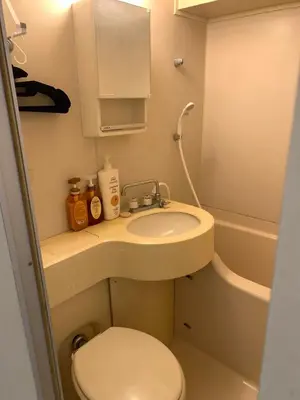 a small bathroom with a toilet and a sink at \u8bda\u4fe1\u4e1c\u65b0\u5bbf in Tokyo