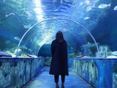 a woman standing in an aquarium looking at fish at Tokyo Time Traveler \u99c5\u5f92\u6b695\u5206 \u66ae\u3089\u3059\u3088\u3046\u306b\u6cca\u307e\u308c\u308b\u30db\u30c6\u30eb in Tokyo