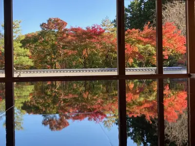 a view from a window of fall foliage at Sky Tree INN Ⅱ（晴樹宿Ⅱ） in Tokyo