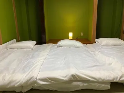 a large white bed in a room with a green wall at Sky Tree INN Ⅱ（晴樹宿Ⅱ） in Tokyo