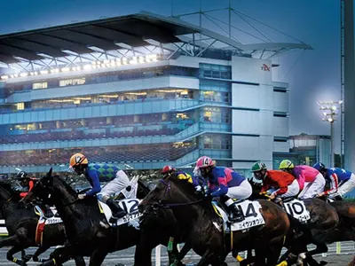 a group of horses racing on a race track at [Newly built condominium for rent! ] 5 minutes wal - Vacation STAY 98142v in Tokyo