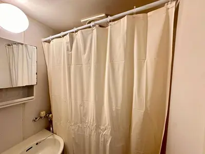 a bathroom with a shower curtain and a toilet at 2\u540d\u69d8\u306b\u304a\u3059\u3059\u3081 \u5c71\u624b\u99d2\u8fbc\u99c5\u5f92\u6b693\u5206 Switch\u4ed8\u304d\u6c60\u888b\u65b0\u5bbf\u79cb\u8449\u539f\u4e0a\u91ce\u6d45\u8349\u6e0b\u8c37 in Tokyo