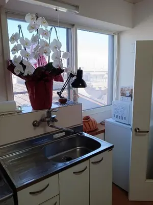 a kitchen with a sink and a vase of flowers at Tokyo downtown\u828d\u85e5\u838a in Tokyo