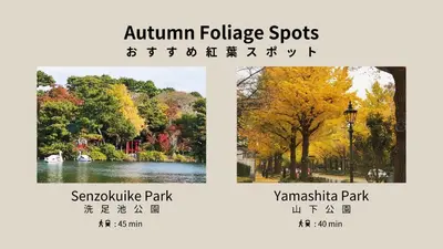 three pictures of a park with autumn foliage spots at MINI HOUSE Tokyo South in Tokyo