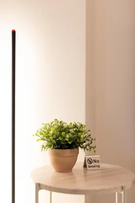 a potted plant sitting on top of a table at 