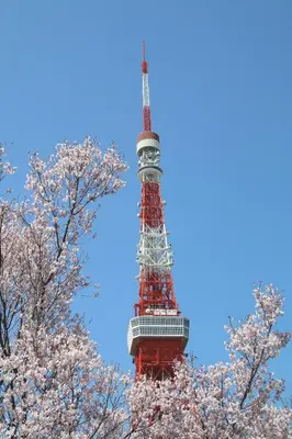 a red and white tower with trees in the foreground at Sotetsu Fresa Inn Ochanomizu Jimbocho in Tokyo