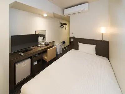a hotel room with a bed and a flat screen tv at Sotetsu Fresa Inn Ochanomizu Jimbocho in Tokyo