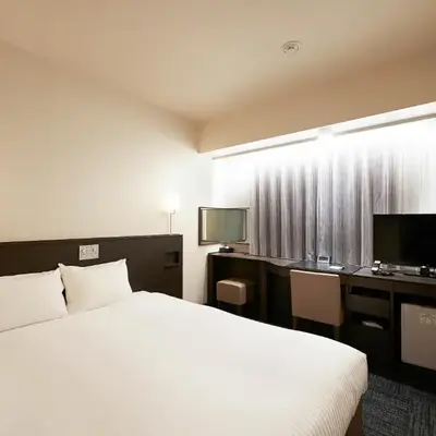 Sotetsu Fresa Inn Ochanomizu Jimbocho
