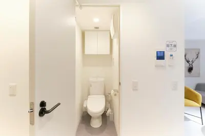 a bathroom with a white toilet in a room at Hotel Dieu Nakanobu by Tranova in Tokyo