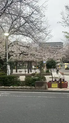 a city street with a park with trees and a building at \u8fa3\u6912\u6c11\u5bbf in Tokyo