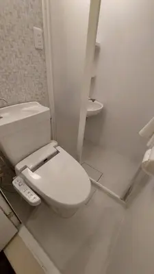 a white bathroom with a toilet and a sink at \u30eb\u30fc\u30c1\u30a7\u897f\u65b0\u5bbf in Tokyo