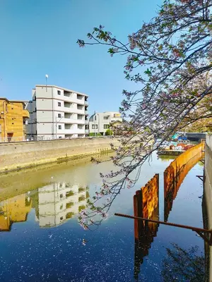 a body of water with a bridge and buildings at 15min to Haneda Airport - Homies House Kamata for up to 9 guests in Tokyo
