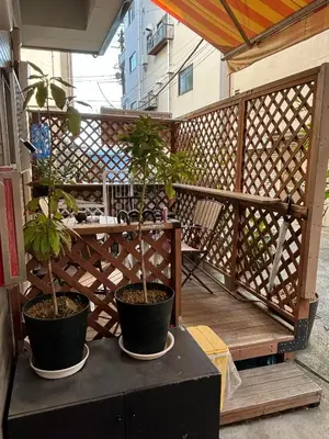 two potted trees sitting on a table on a balcony at \u6d45\u8349\u685c\u6a4b\u30cf\u30a6\u30b9-Asakusa Sakurabashi House- in Tokyo