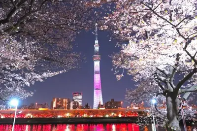 a view of the tokyo tower at night with flowering trees at \u6d45\u8349\u685c\u6a4b\u30cf\u30a6\u30b9-Asakusa Sakurabashi House- in Tokyo