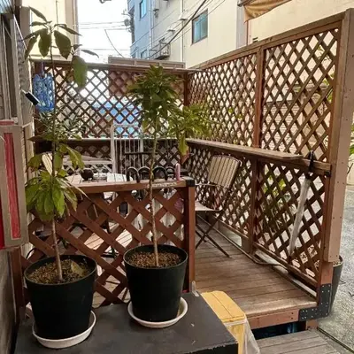 浅草桜橋ハウス-Asakusa Sakurabashi House-
