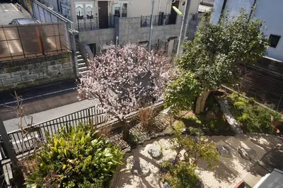 a tree with pink flowers in a garden at Shimokitazawa Akima in Tokyo