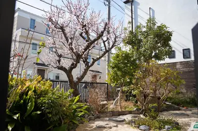 a tree with pink flowers in front of a building at Shimokitazawa Akima in Tokyo