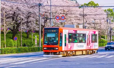 a train traveling down a street with cherry trees at Fuufu House Tokyo Ikebukuro in Tokyo