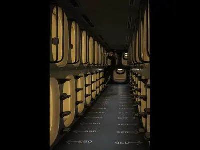 a hallway of a train car with a person standing on it at 9h nine hours Shinagawa station for men in Tokyo