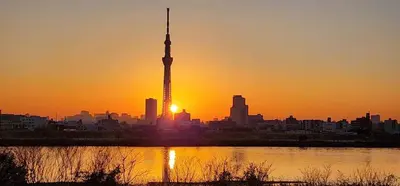 a city skyline with the television tower at sunset at L\uff06L\uff08Love\uff06Life\uff09 in Tokyo