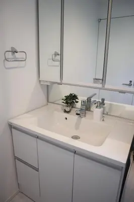 a white bathroom sink with a potted plant on it at L\uff06L\uff08Love\uff06Life\uff09 in Tokyo
