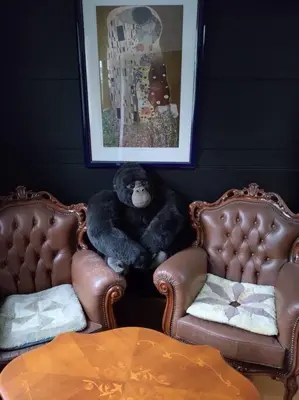 a stuffed teddy bear sitting between two chairs at Stage YOU in Tokyo