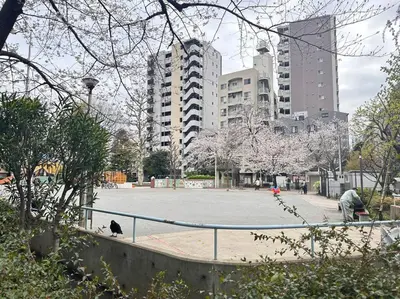 a basketball court in a city withakura trees and buildings at Kyo Sai \u6d45\u83493F\u3000120\u33a1\u8d85\u3048\u6d45\u8349\u5bfa\u307e\u3067\u5f92\u6b65\u7d0410\u5206 in Tokyo