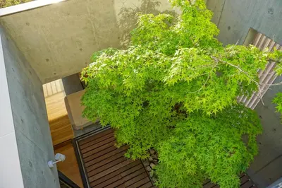 an overhead view of a plant in a building at GRASS BLDG 501 in Tokyo