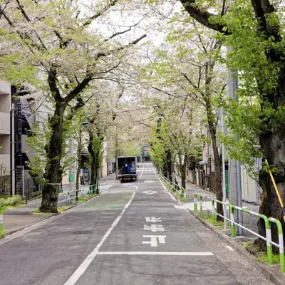 Tokyo Kitaku hotel