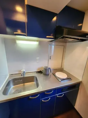 a small kitchen with a sink and a counter at LiVEMAX Claudia Akasakamitsuke in Tokyo