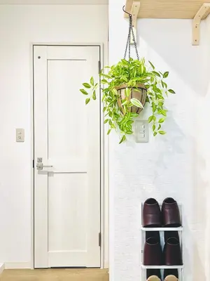 a potted plant on a shelf next to a door at miyabi 4 - \u96c5 4 in Tokyo