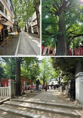 three pictures of a tree in a city at miyabi 4 - \u96c5 4 in Tokyo