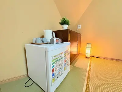 a small refrigerator with a plant on top of it at Tokyo Holiday Hotel in Tokyo