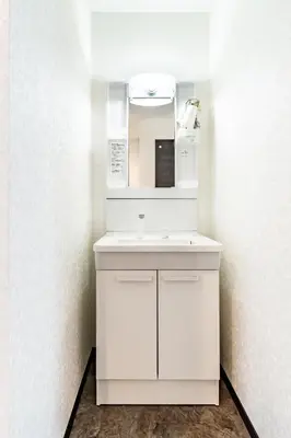 a bathroom with a white sink and a mirror at 84-5, Shiomi 301, Entire room for rent, \u6f6e\u898bB301 in Tokyo