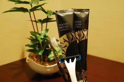 a toothbrush and a tube of toothpaste next to a plant at Anshin oyado Tokyo Man Akihabara in Tokyo