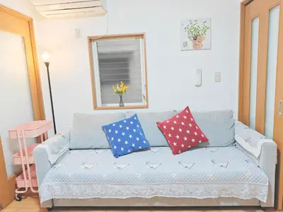 a blue couch with patriotic pillows in a living room at SunshineHouse \u5411\u5cf6 in Tokyo
