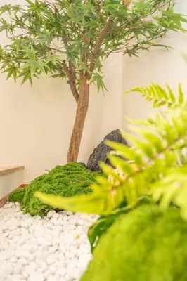 a bonsai tree sitting on top of a pile of rocks at New open \u548c\u98a8\u4f4f\u5b85 \u6771\u4e2d\u91ce\u99c5 \u5927\u4e45\u4fdd\u99c5\u5f92\u6b69\u5708\u5185 \u65b0\u5bbf\u99c5\u307e\u3067\u96fb\u8eca5\u5206\u6e0b\u8c37\u9280\u5ea7\u6771\u4eac\u8fd1\u3044 \u8377\u7269\u9810\u304b\u308a\u307e\u3059 in Tokyo