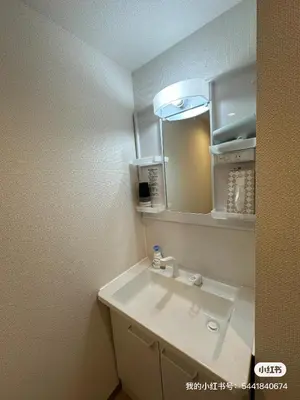 a bathroom with a sink and a mirror at \u685cHome in Tokyo