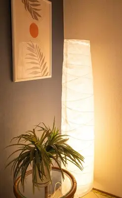 a plant sitting on a table next to a lamp at Shinkoiwa Stay, Private House, Nearby Station, Good access to Ueno&Asakusa in Tokyo