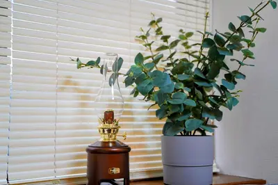 a table with a clock and a vase with a plant at Daily Hotel - \u30a8\u30af\u30bb\u30eb\u4e09\u7530 Excel Mita - \u4e09\u7530\u99c5\u304b\u3089\u5f92\u6b695\u5206 in Tokyo