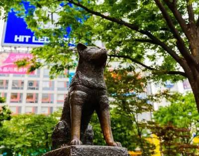 a statue of a dog sitting on a rock at \u30a2\u30f3\u30c9\u30b9\u30c6\u30a4\u5e61\u30f6\u8c37202 in Tokyo