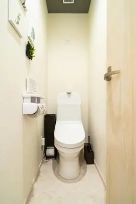 a bathroom with a white toilet in a room at 58, Higashi-Horikiri 2, private house rental, \u6771\u5800\u52072 in Tokyo