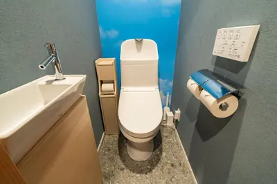 a bathroom with a white toilet and a sink at 89, Yahiro 1, Detached House for Rent, \u516b\u5e831 in Tokyo