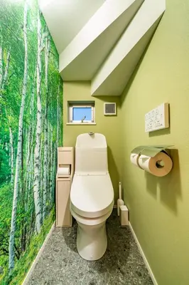 a bathroom with a toilet in a green wall at 89, Yahiro 1, Detached House for Rent, \u516b\u5e831 in Tokyo